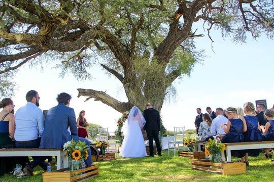 Windhoek Wedding Venue Ceremony Under Trees